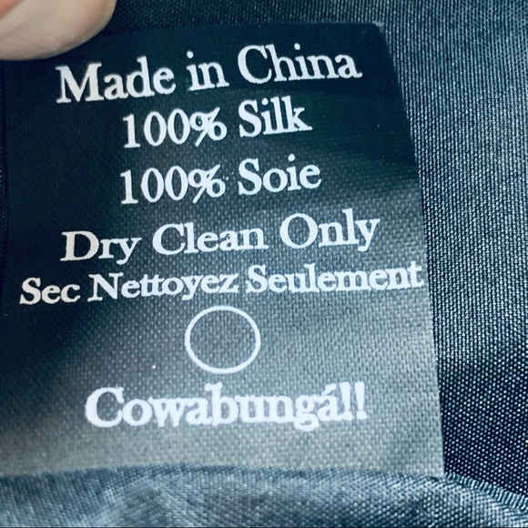 Vena Cava Papyrus Silk Mini Dress as Worn on Gossip Girls sz 4 - Picture 15 of 15